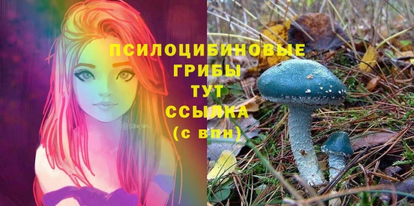 герыч Алзамай