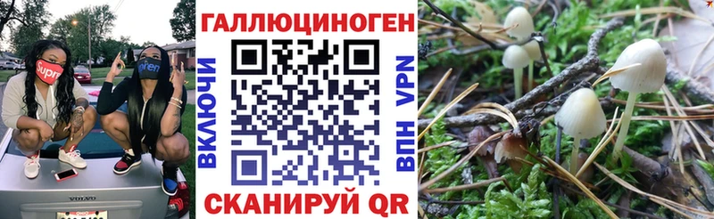 Псилоцибиновые грибы Psilocybine cubensis  Тула 